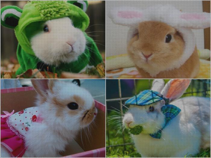 Las mejores disfraces conejos disfraces para conejos