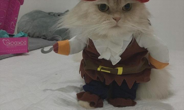 ¿Dónde poder comprar disfraces gatos disfraces para gatos persas?