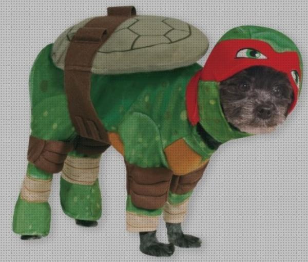 Las mejores marcas de disfraces disfraz de tortuga para perro