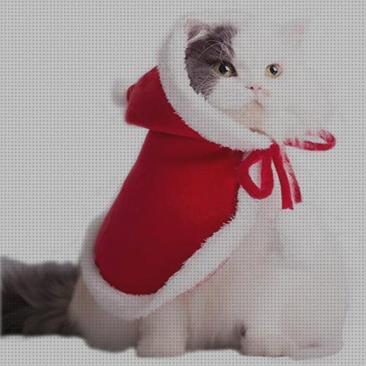 Opiniones de los 15 mejores Disfraces Navidades Para Gatos