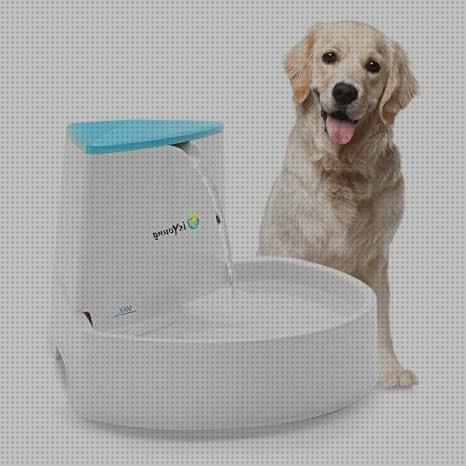 ¿Dónde poder comprar automatico mascotas dispensador de agua automatico para mascotas?