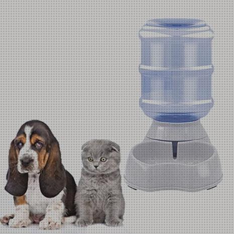 Review de dispensador de agua automatico para mascotas