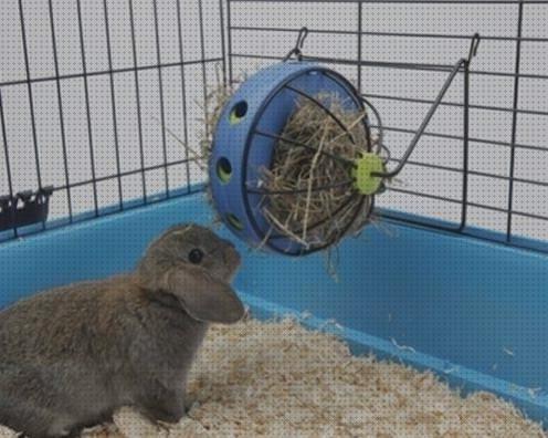 ¿Dónde poder comprar dispensadores conejos dispensador de heno para conejos?