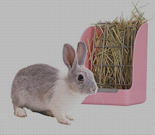Análisis de los 24 mejores Dispensadores De Henos Para Conejos