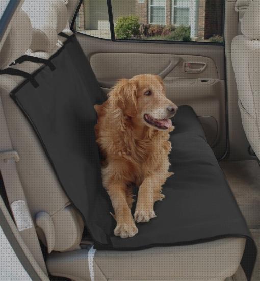 ¿Dónde poder comprar asientos mascotas el mejor protector de asientos de coche para mascotas?