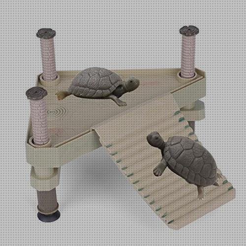 ¿Dónde poder comprar escaleras tortugas escalera para tortugas de agua?