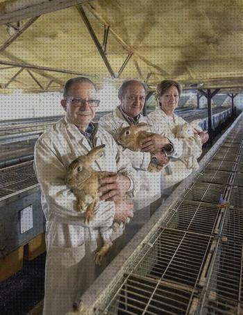 Las mejores cria conejos experiencia de cria de conejos para autoconsumo