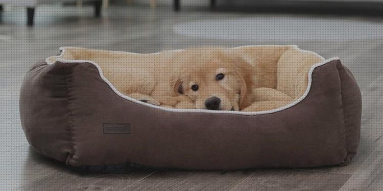 ¿Dónde poder comprar camas mascotas fabricante de camas para mascotas?