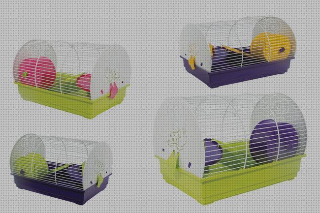 ¿Dónde poder comprar hamster flagyl?