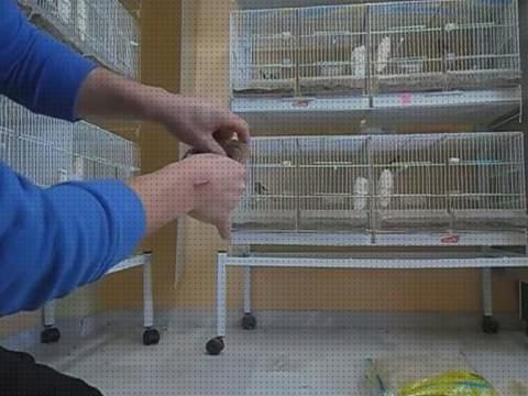 ¿Dónde poder comprar nidos canarios forros para nidos de canarios?