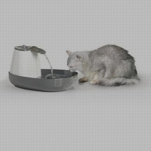 ¿Dónde poder comprar fuentes gatos fuente automatica para gatos?