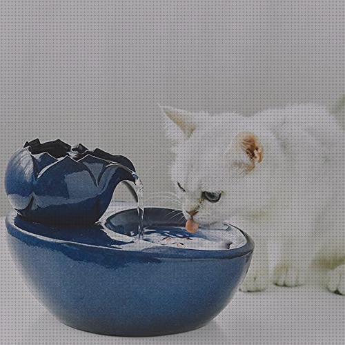 ¿Dónde poder comprar kiwoko gatos fuente de agua para gatos kiwoko?