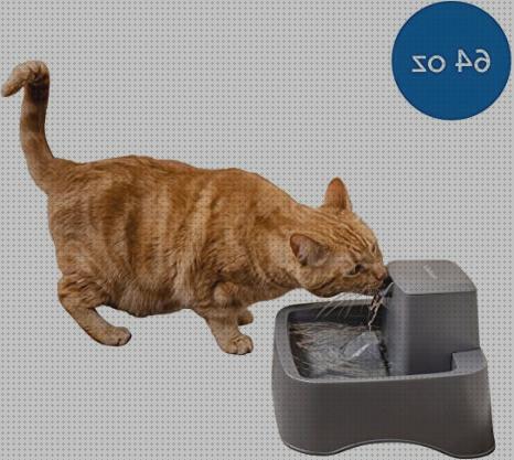 ¿Dónde poder comprar drinkwell mascotas fuente de agua para mascotas drinkwell original de petsafe?