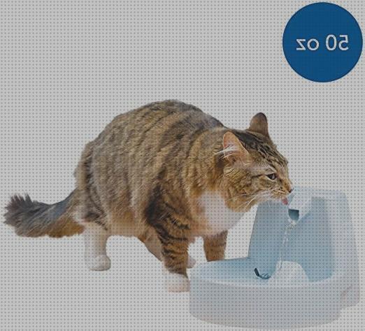 Las mejores drinkwell mascotas fuente de agua para mascotas drinkwell original de petsafe