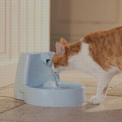 Review de fuente de agua para mascotas drinkwell original de petsafe