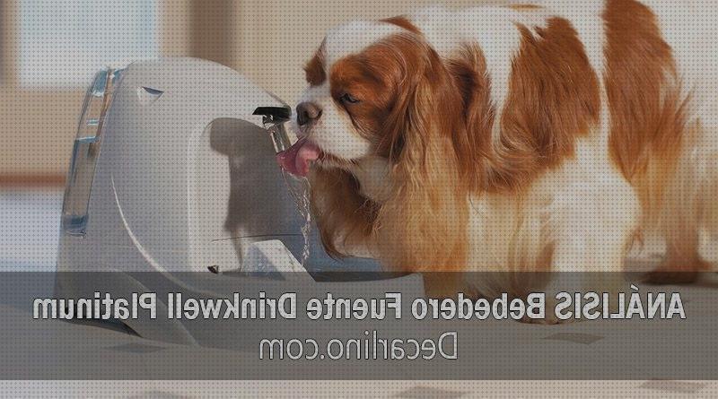 ¿Dónde poder comprar drinkwell mascotas fuente de agua para mascotas drinkwell platinum de petsafe?