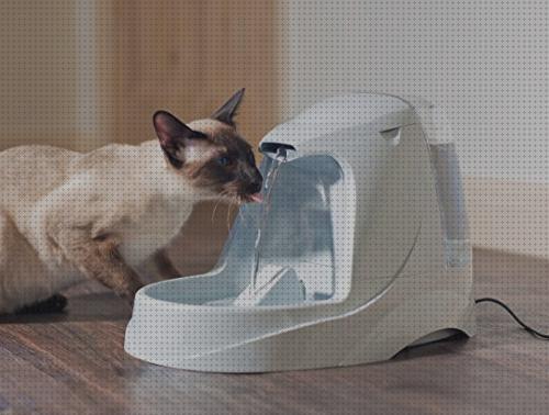 ¿Dónde poder comprar fuentes gatos fuente para gatos con sensor de movimiento?