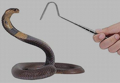 Review de los 18 mejores serpientes ganchos a la venta