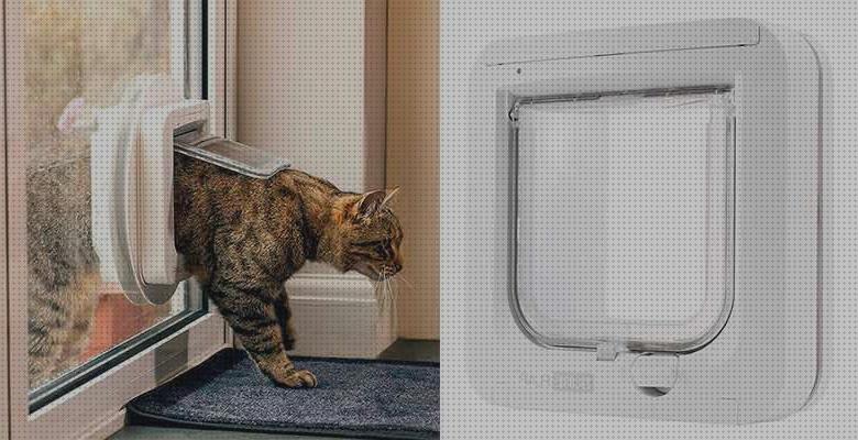 ¿Dónde poder comprar gatero gatos gatera automatica para gatos?