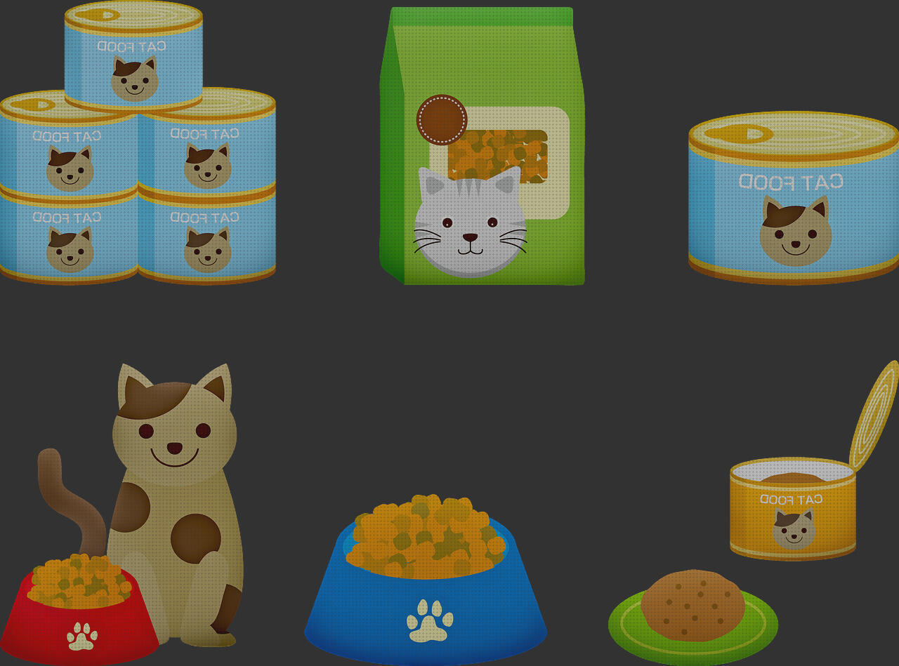 ¿Dónde poder comprar comer gato para comer?