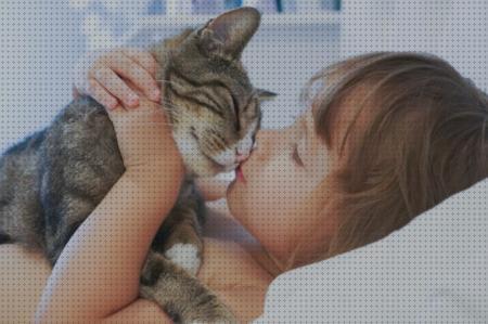Los 10 Mejores Gatos Para Niños Autistas