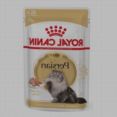 Las mejores marcas de baratos gatos gatos persas para venda baratos