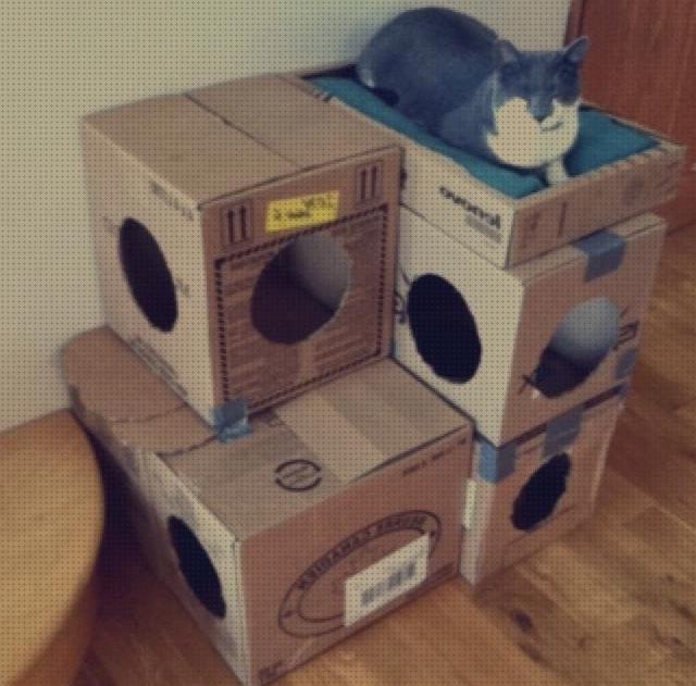 Review de gimnasio para gatos con cajas