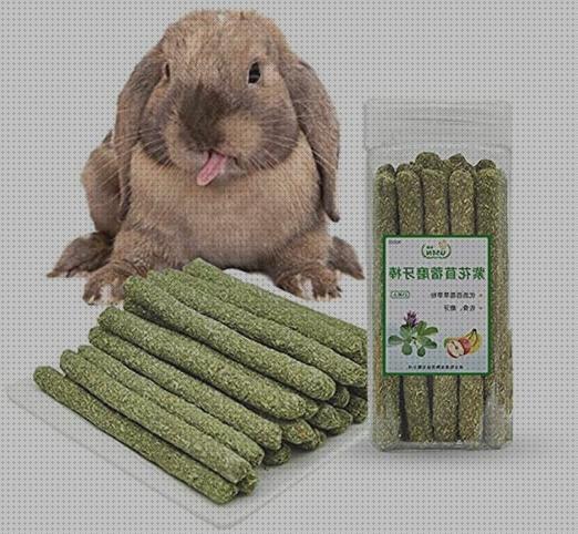 Las mejores golosinas conejos golosinas para conejos
