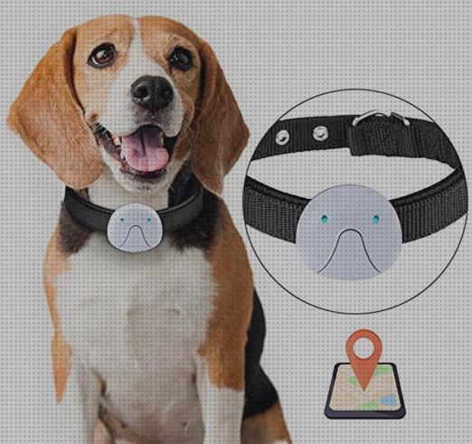 Review de gps tracker sin sim para mascotas