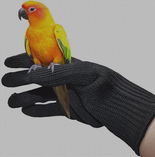 Las mejores marcas de guantes loros guantes para loros