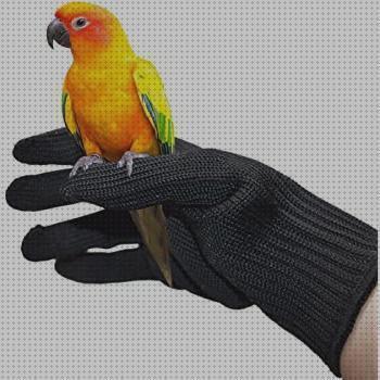 ¿Dónde poder comprar guantes loros guantes para loros?