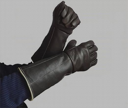 Mejores 22 guantes para loros a la venta