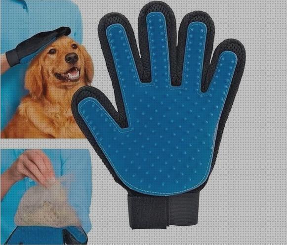 23 Mejores guantes para mascotas bajo análisis