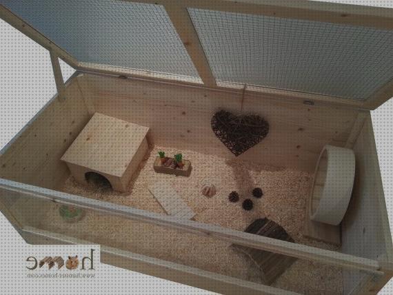 Mejores 24 hamster habitat a la venta
