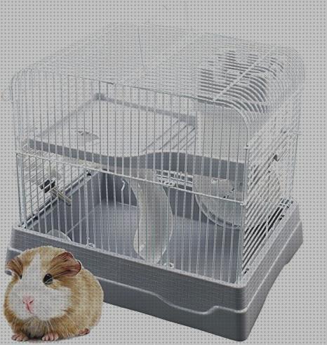 ¿Dónde poder comprar hamster habitat?