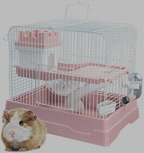 Las mejores hamster habitat