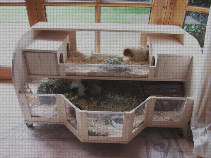 28 Mejores hamster peceras bajo análisis