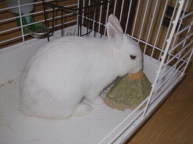 ¿Dónde poder comprar henos conejos heno prensado para conejos?