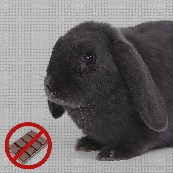 Las 11 Mejores Hojas De Puerro Para Conejos