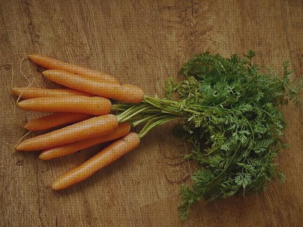 Las 19 Mejores Hojas De Zanahorias Para Conejos