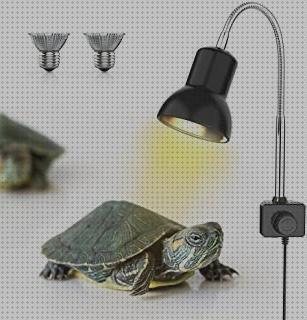 Review de iluminacion para tortugas de agua