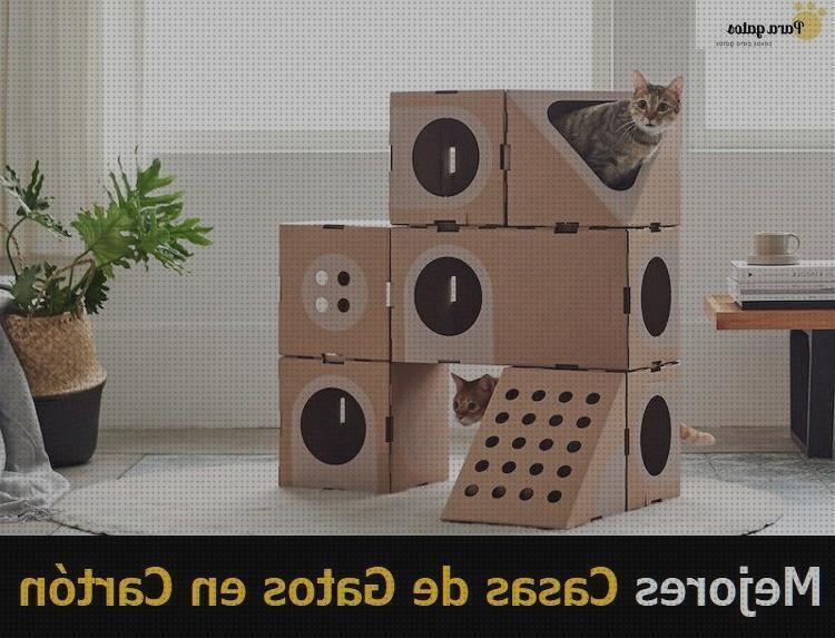 ¿Dónde poder comprar imágenes de utensilios para mascotas hechas con carton?
