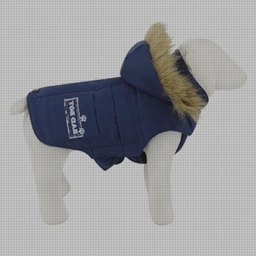 Review de impermeable con capucha para mascotas fred y rita