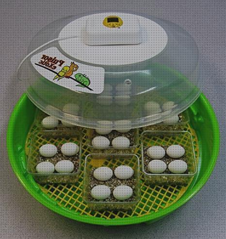 Las mejores huevos incubadora barata para huevos de tortuga