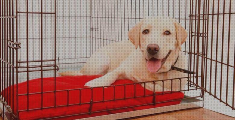 Opiniones de las 28 mejores Jaulas De Viajes Para Labradores
