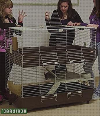 Las mejores pisos conejos jaula para conejos de dos pisos
