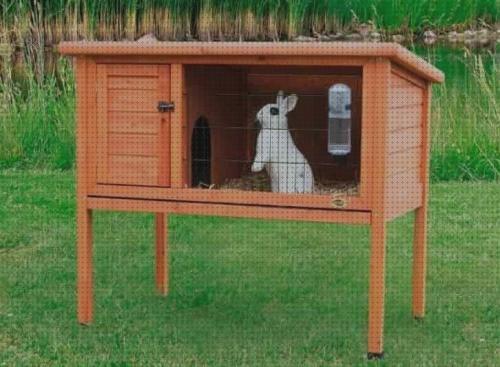 ¿Dónde poder comprar arenas conejos jaula para conejos enanos baratas arenas?
