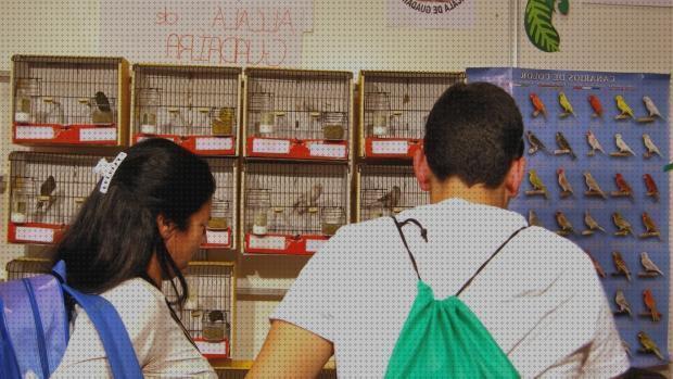 Las mejores marcas de ica jaula para pajaros ica beti precio