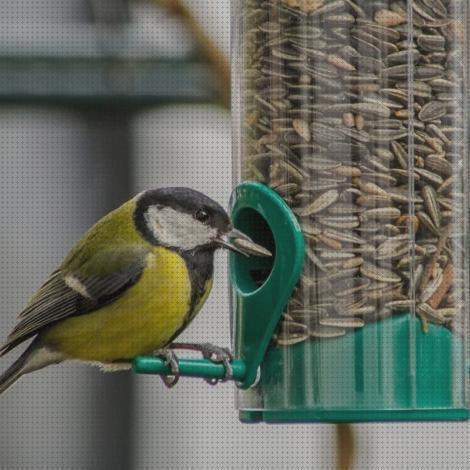 Las mejores ica jaula para pajaros ica beti precio