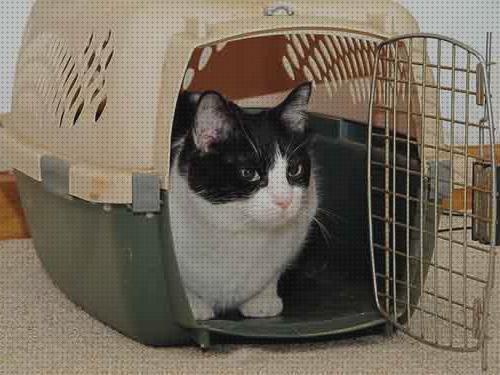 ¿Dónde poder comprar transportar gatos jaula para transportar gatos?